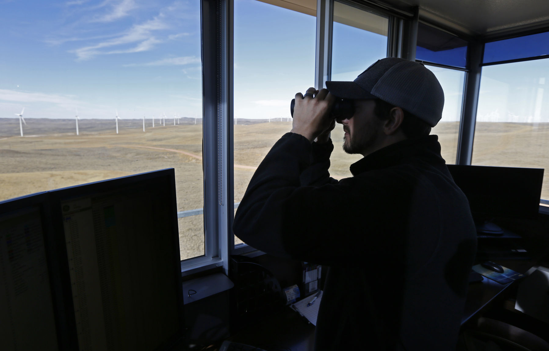 Wind Energy Eagles